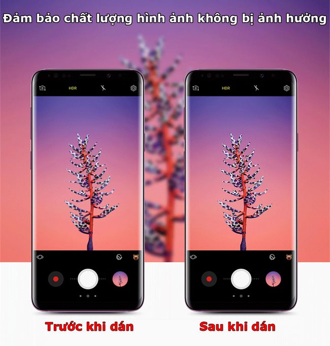 Kính cường lực camera sau Galaxy S9 Plus hiệu Basues