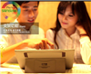 Bao da Galaxy Note 10.1 N8000 KLD Plume